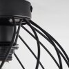 Miton Ceiling Light black, 1-light source