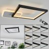 Bina Ceiling Light LED white, 1-light source, Remote control