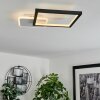 Bina Ceiling Light LED white, 1-light source, Remote control