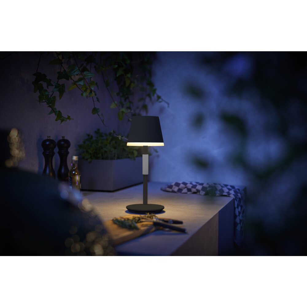 Philips Hue Go Table lamp LED grey, black, 1-light source, Colour changer