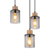 Globo REID Pendant Light black, 6-light sources