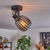 Pocho Ceiling Light brass, black, 1-light source