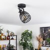 Pocho Ceiling Light brass, black, 1-light source