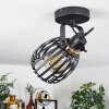 Pocho Ceiling Light brass, black, 1-light source