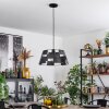 Daynard Pendant Light black, 1-light source