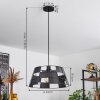 Daynard Pendant Light black, 1-light source