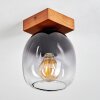 Chauplane Ceiling Light Dark wood, black, 1-light source