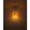 Globo JAMESSA Pendant Light brass, 1-light source