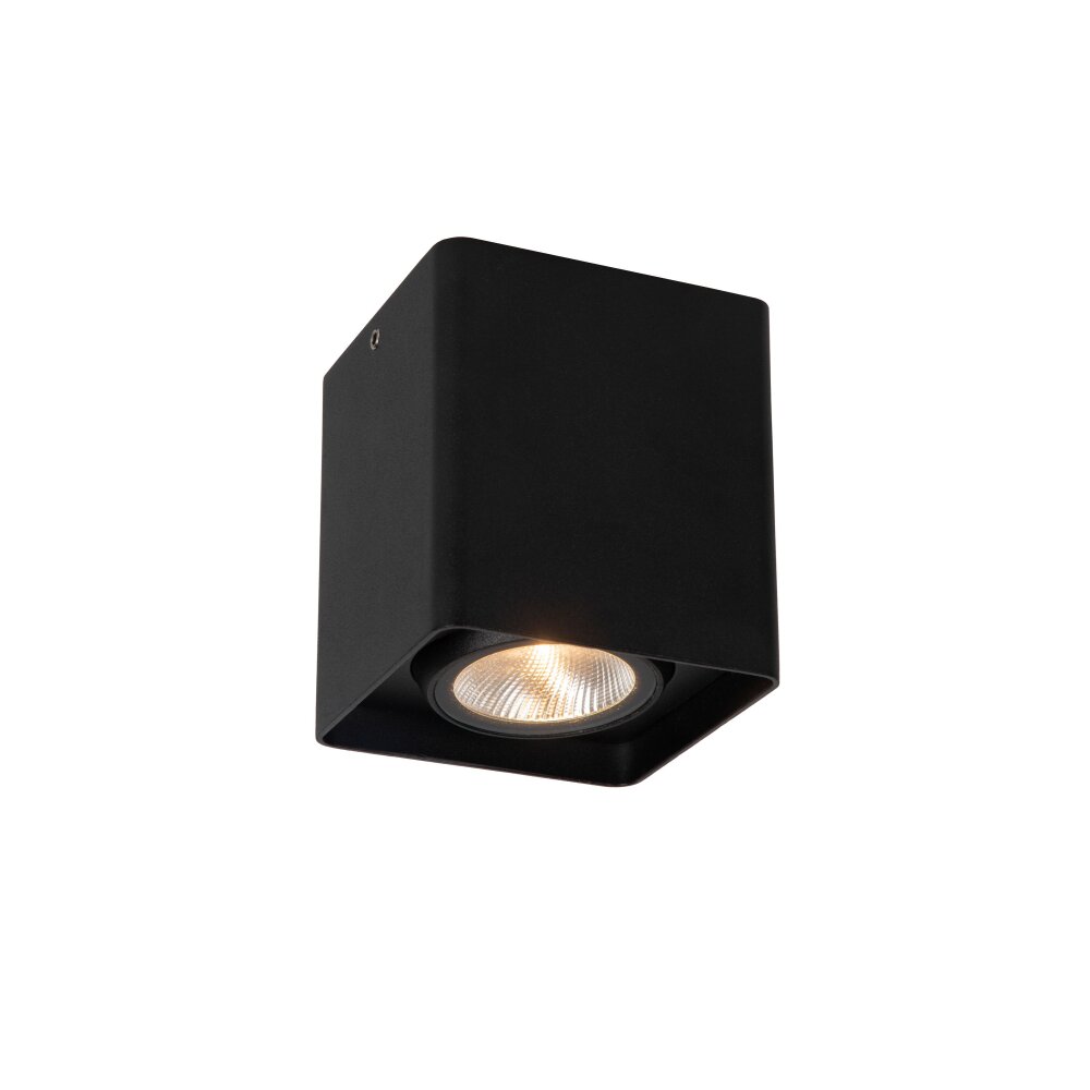 Lucide LEEDS outdoor ceiling light LED black, 1-light source