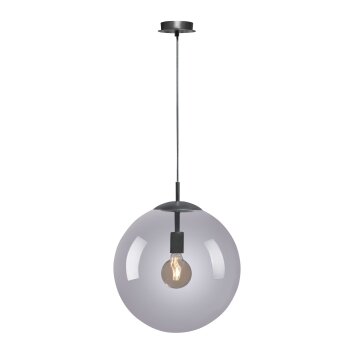 Paul Neuhaus WIDOW Pendant Light black, 1-light source