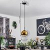 Koyoto Pendant Light glass 20 cm stainless steel, black, 1-light source