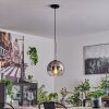 Koyoto Pendant Light glass 25 cm black, silver, 1-light source