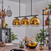 Koyoto Pendant Light glass 20 cm gold, clear, 3-light sources