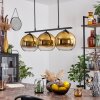 Koyoto Pendant Light glass 20 cm gold, clear, 3-light sources