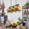 Koyoto Pendant Light glass 20 cm gold, clear, 3-light sources