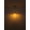 Globo CLASSIS Pendant Light black, 1-light source