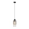 Globo BACKEY Pendant Light black, 1-light source