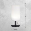 FHL easy Larino Table lamp LED anthracite, 1-light source, Colour changer