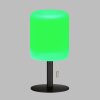 FHL easy Larino Table lamp LED anthracite, 1-light source, Colour changer