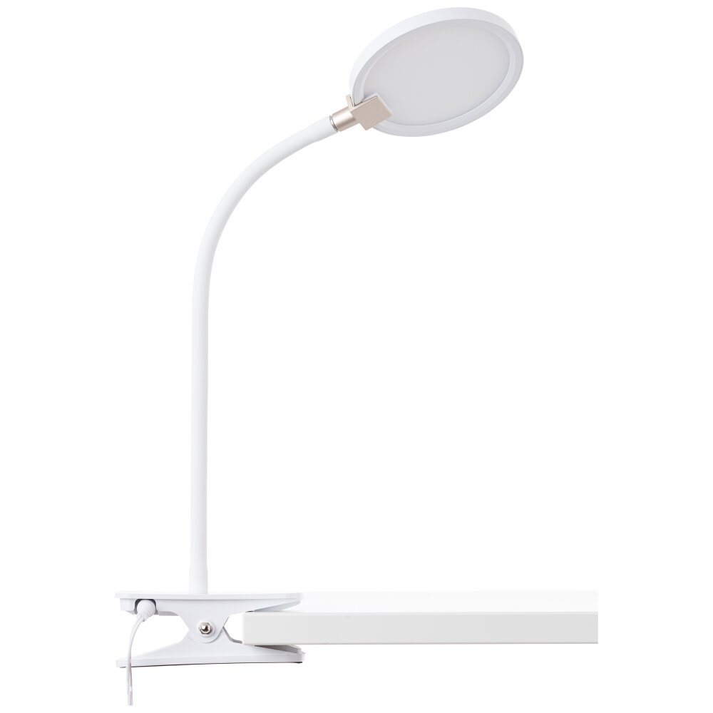 Brilliant Ubin clamp-on light LED white, 1-light source