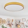 Broglen Ceiling Light LED brass, 1-light source