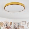 Broglen Ceiling Light LED brass, 1-light source