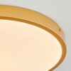 Broglen Ceiling Light LED brass, 1-light source