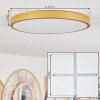 Broglen Ceiling Light LED brass, 1-light source