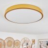 Broglen Ceiling Light LED brass, 1-light source