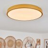 Broglen Ceiling Light LED brass, 1-light source