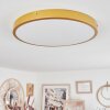 Broglen Ceiling Light LED brass, 1-light source