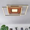 Panqueua Ceiling Light LED brown, black, 1-light source, Remote control