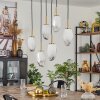 Bocayuva Pendant Light black, 6-light sources