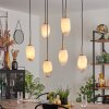 Bocayuva Pendant Light black, 6-light sources