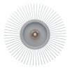 Eglo PALOMBAIA Ceiling Light black, 1-light source