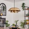 Albo Pendant Light black, 1-light source