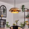 Albo Pendant Light black, 1-light source