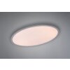 Trio TORRANCE Ceiling light LED titanium, 1-light source