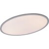 Trio TORRANCE Ceiling light LED titanium, 1-light source