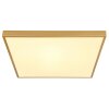 Globo TIBEY Ceiling Light LED brass, 1-light source