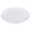 Globo GWENDOLIN Ceiling Light LED white, 1-light source