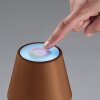 FHL easy Cosenza 2.0 Table lamp LED rust-coloured, 1-light source, Colour changer