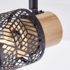 Brilliant Santy Ceiling Light black, 4-light sources