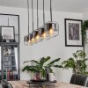 Lauden Pendant Light glass 15 cm chrome, clear, Smoke-coloured, 5-light sources