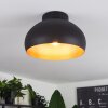 Guayo Ceiling Light black, 1-light source