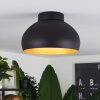 Guayo Ceiling Light black, 1-light source