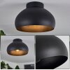 Guayo Ceiling Light black, 1-light source