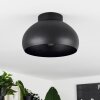 Guayo Ceiling Light black, 1-light source