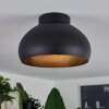 Guayo Ceiling Light black, 1-light source