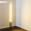 Mapleton Floor Lamp LED matt nickel, 3-light sources, Remote control